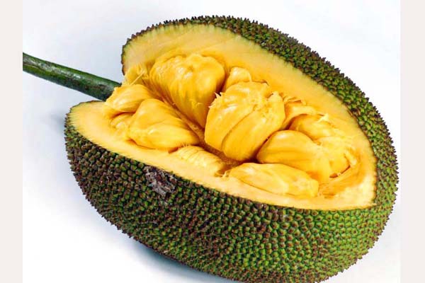 কাঁঠালের ২০ পুষ্টিগুণ  