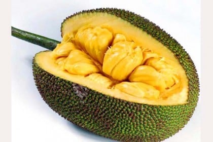 কাঁঠালের ২০ পুষ্টিগুণ  
