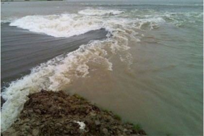 পাউবোকে কৃষকের অভিশাপ