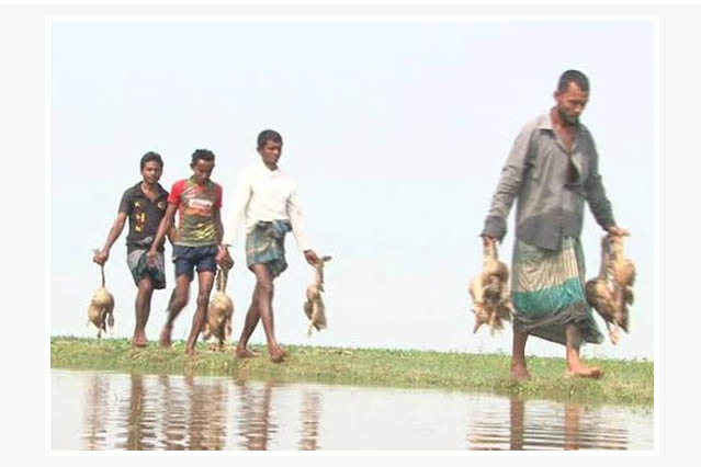 হাওরে বিপর্যয়, তদন্ত প্রতিবেদন প্রকাশ মে মাসে