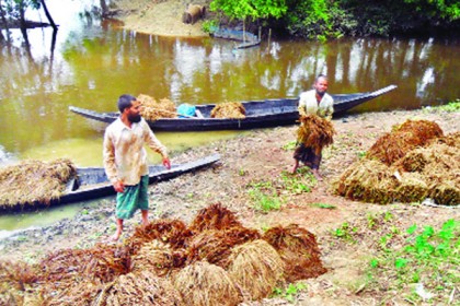 হাওরাঞ্চলে কৃষকদের কাছ থেকে ঋণ আদায় স্থগিত