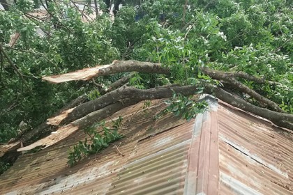 ঘূর্ণিঝড়ে লণ্ডভণ্ড চৌদ্দগ্রামে, আহত শতাধিক