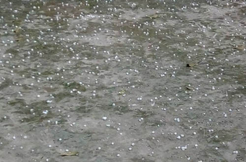 লালমনিরহাটে ঘূর্ণিঝড়ের তাণ্ডবে ব্যাপক ক্ষয়ক্ষতি