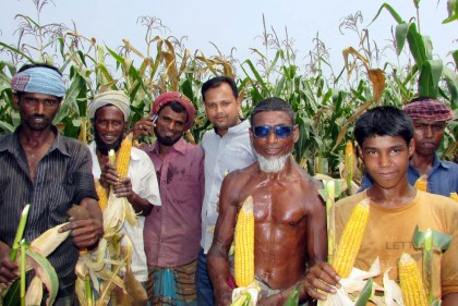 শেরপুরে কৃষকদের মাঝে সাড়া জাগিয়েছে ভুট্টা চাষ