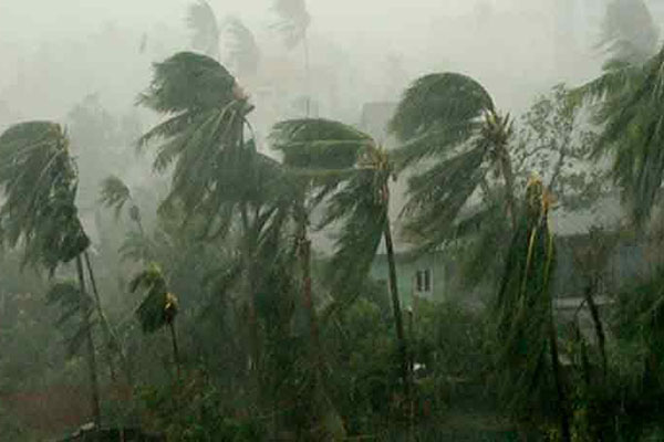 কালবৈশাখীতে লণ্ডভণ্ড নাটোরের বিভিন্ন এলাকা