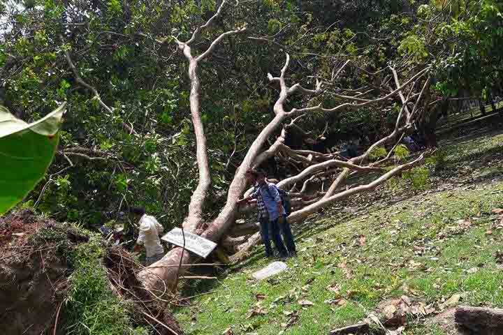 ২৯ ঘণ্টা বিদ্যুৎহীন রাবি, থালা-বাটি নিয়ে শিক্ষার্থীদের বিক্ষোভ
