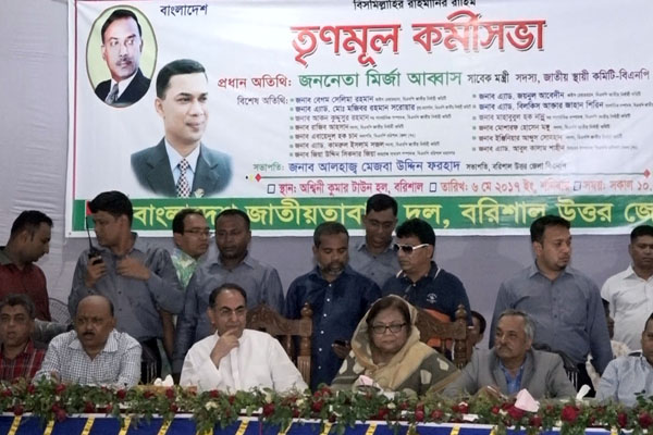 'বিএনপি অবশ্যই নির্বাচনে যাবে'