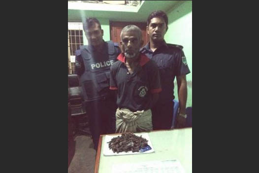 কলারোয়ায় গাঁজাসহ এক ব্যক্তি আটক

