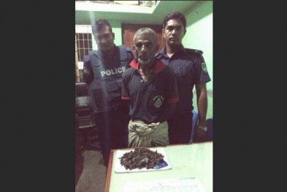 কলারোয়ায় গাঁজাসহ এক ব্যক্তি আটক
