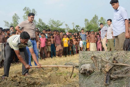 ধানক্ষেতে উঁচু মাটি, খুঁড়তেই মানব কঙ্কাল