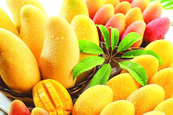 ভালো ও সুস্বাদু আম চেনার উপায়!
