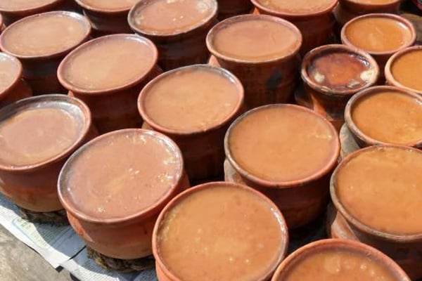 মিষ্টি দই কি শরীরের পক্ষে আদৌ ভাল?