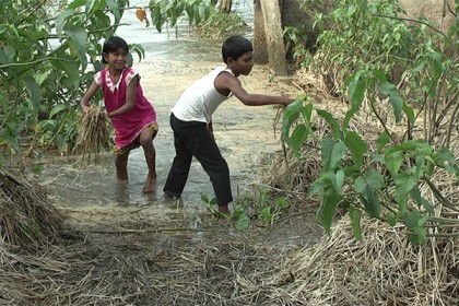 নেত্রকোনার হাওরে এখন বিশুদ্ধ পানি ও জ্বালানি সংকট