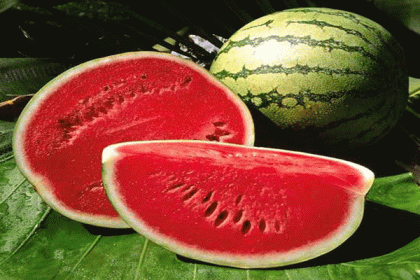 যে ৩ কারণে রাতে তরমুজ খাবেন না!