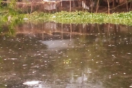 'এইবার ছেরাডারে এক্কেবারে ধ্বংস কইরা দিছে'