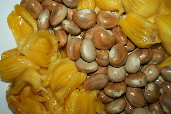 হজম শক্তি বাড়ায় কাঁঠালের বীজ