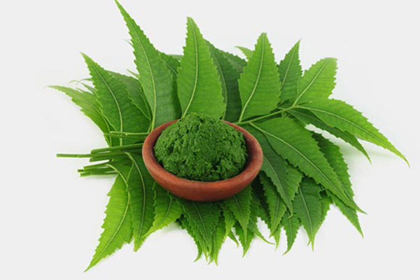 নিমের ১০ ব্যবহার