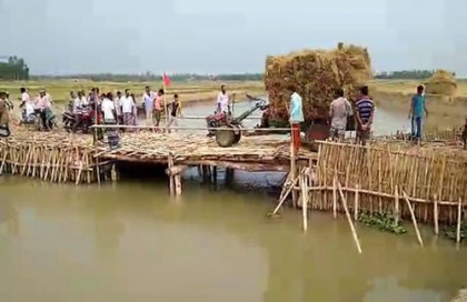 চাঁপাইনবাবগঞ্জে নদীতে তৈরি করা হয়েছে বাঁশের সেতু