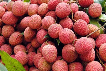 সাবধান! খালি পেটে লিচু খাবেন না