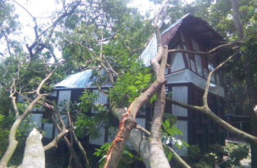 মুন্সীগঞ্জে কাল বৈশাখী ঝড়ে দুই শতাধিক ঘরবাড়ি বিধ্বস্ত