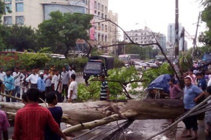 ঝড়ে গাছ পড়ে ধানমন্ডিতে তীব্র যানজট