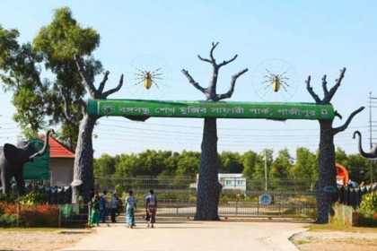 বঙ্গবন্ধু সাফারি পার্কে দুই জিরাফের মৃত্যু