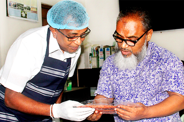 বেঙ্গল মিট পণ্যের নমুনা পরীক্ষা