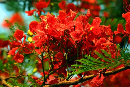 নতুন রূপে রঙিন পাহাড়