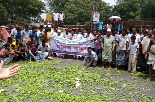 পরিবহন ধর্মঘটের প্রতিবাদে পাবনায় কৃষকদের মানববন্ধন