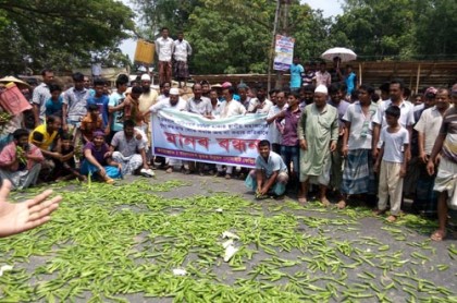 পরিবহন ধর্মঘটের প্রতিবাদে পাবনায় কৃষকদের মানববন্ধন