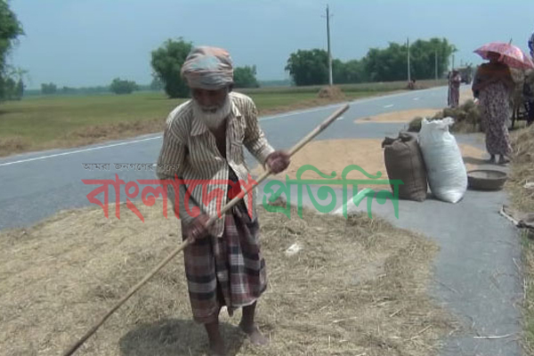 পঞ্চগড়ে মহাসড়কে ফসল মাড়াই, খড় শুকানোর হিড়িক