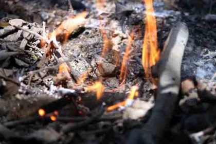 সুন্দরবনের নাশকতার আগুন নিয়ন্ত্রণে