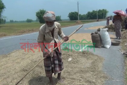 পঞ্চগড়ে মহাসড়কে ফসল মাড়াই, খড় শুকানোর হিড়িক