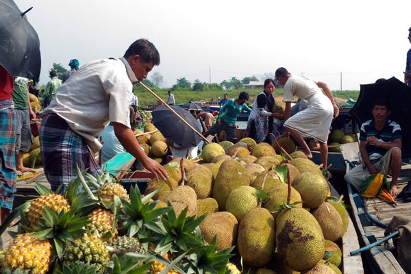 মৌ মৌ গন্ধের সুবাস পাহাড়ে
