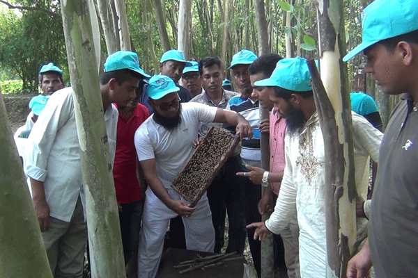 মৌ-চাষের ডার্থ পিরিয়ডেও উৎপাদিত হচ্ছে মধু 