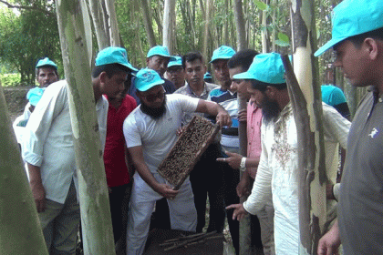 মৌ-চাষের ডার্থ পিরিয়ডেও উৎপাদিত হচ্ছে মধু 