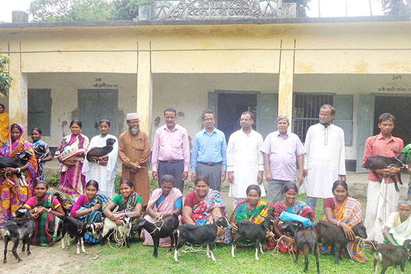 দিনাজপুরে আদিবাসীদের মাঝে বিনামূল্যে ছাগল বিতরণ