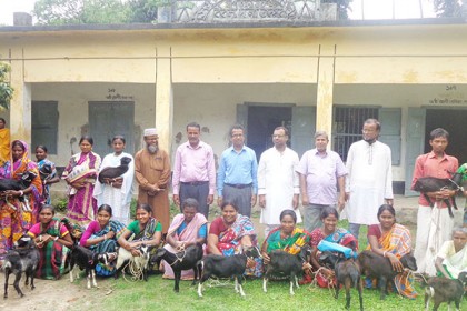 দিনাজপুরে আদিবাসীদের মাঝে বিনামূল্যে ছাগল বিতরণ