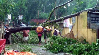 ঘূর্ণিঝড় 'মোরা'র আঘাতে রাঙামাটিতে বাড়িঘর বিধ্বস্ত, নিহত ২