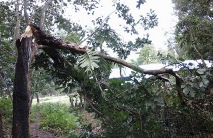 মোরা'র আঘাতে লণ্ডভণ্ড লামা