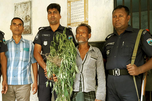 আটকের পর কারাগারে বগুড়ার গাঁজা চাষী