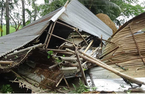 শেরপুরে টর্নেডোর আঘাতে শতাধিক ঘরবাড়ি বিধ্বস্ত, বিদ্যুৎ সংযোগ বিছিন্ন