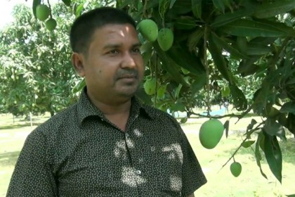 সমন্বিত বাগানে সফল পত্নীতলার দেলোয়ার