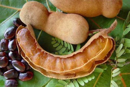 তেঁতুলের ১০ গুণাগুণ