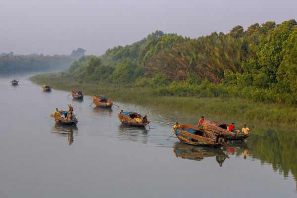 সুন্দরবন রক্ষায় এক বছরেও হয়নি কাঁটা তারের বেড়া 