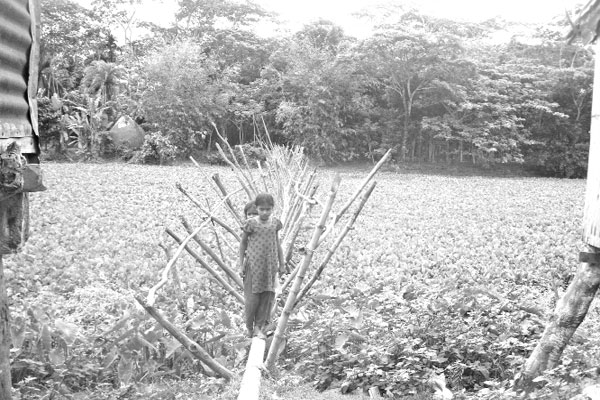সাঁকোই ভরসা