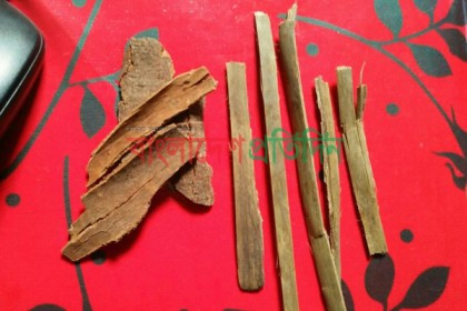 এবার গরম মসলায় দারুচিনির বদলে বাঁশের ছাল!