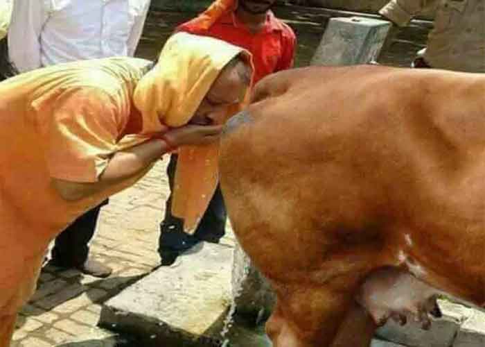 যোগীর গো-মূত্র পানের সেই  ছবিটি ফটোশপের কারসাজি