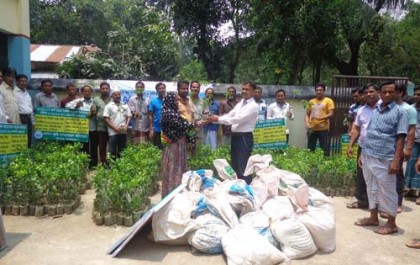 বীরগঞ্জে কৃষকদের মাঝে মাল্টা চারা বিতরণ