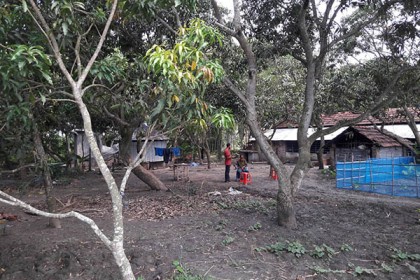 হুমকির মুখে সাতক্ষীরার জেয়ালা গ্রামের জীববৈচিত্র্য

